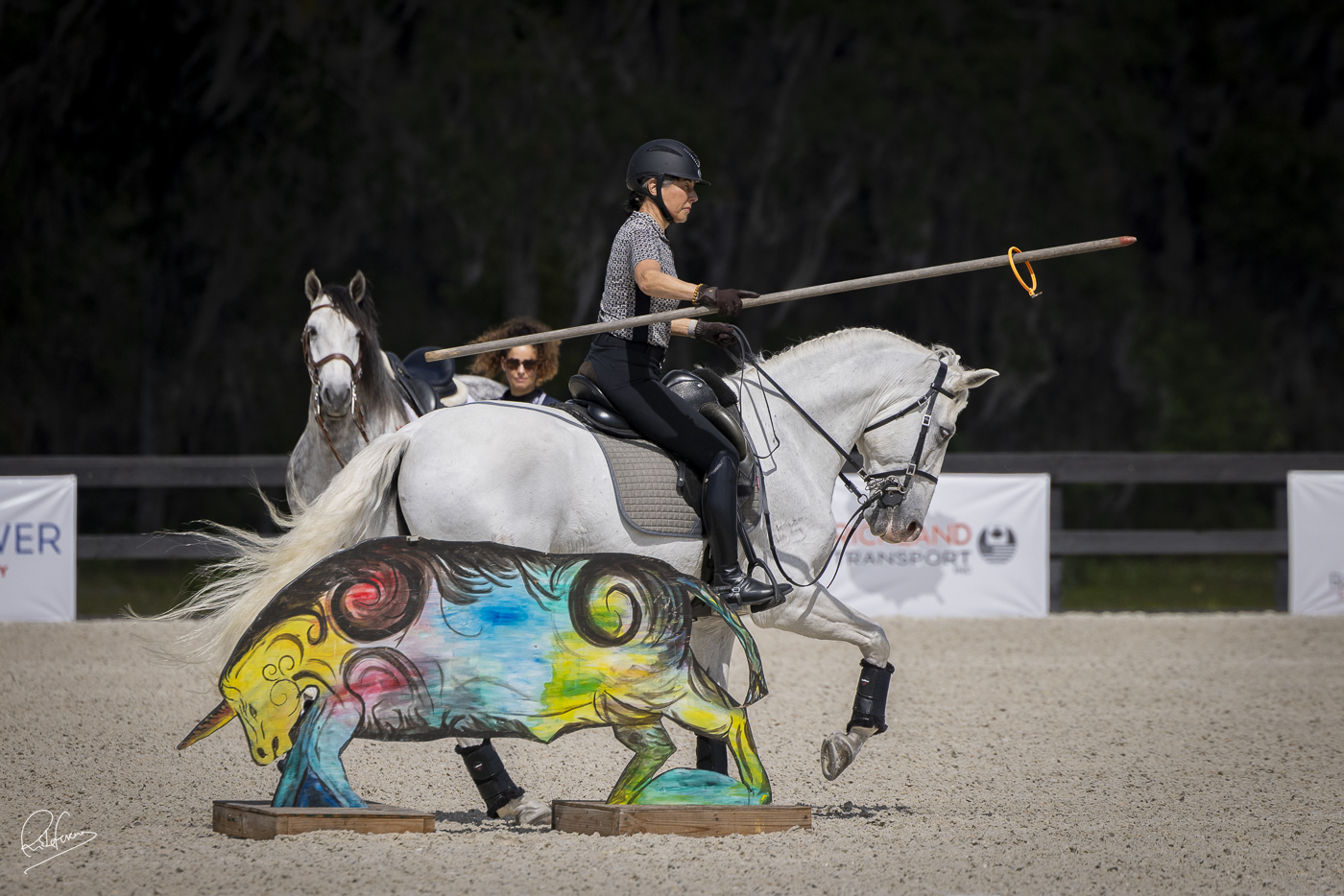 WEB Comando USLAConference J2A3917