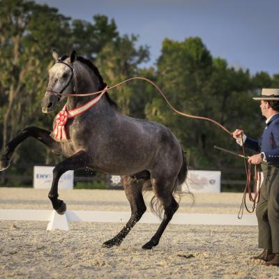 Champions Wasatch J2a4053