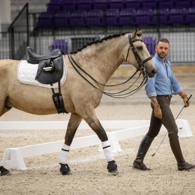 Uslalusitanoworld2024bycarloshernani 0240