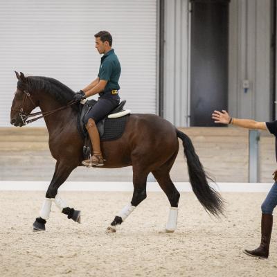 Uslalusitanoworld2024bycarloshernani 4423