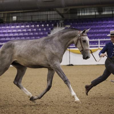 Web Wec Bestinshow J2a7448