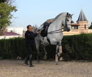 Landing Page - Rafael Soto In-Hand