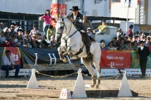 Landing Page - Pedro Torres WE